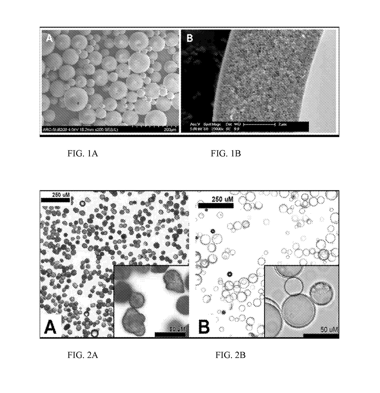 Glass Composites for Tissue Augmentation, Biomedical and Cosmetic Applications