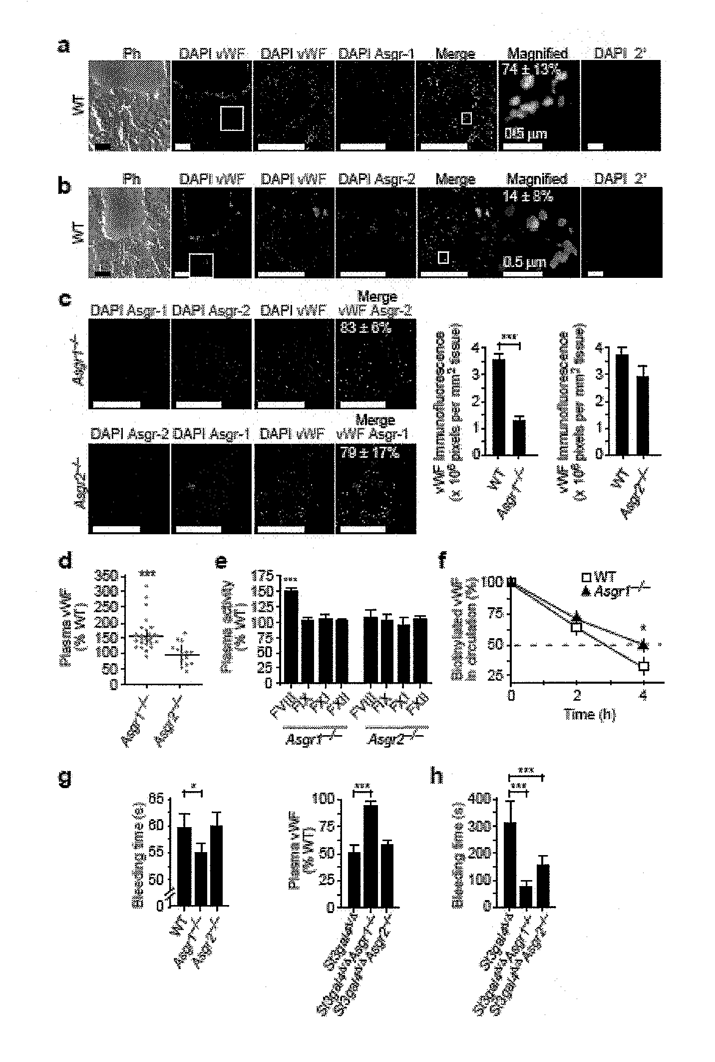 Methods of treating coagulopathy