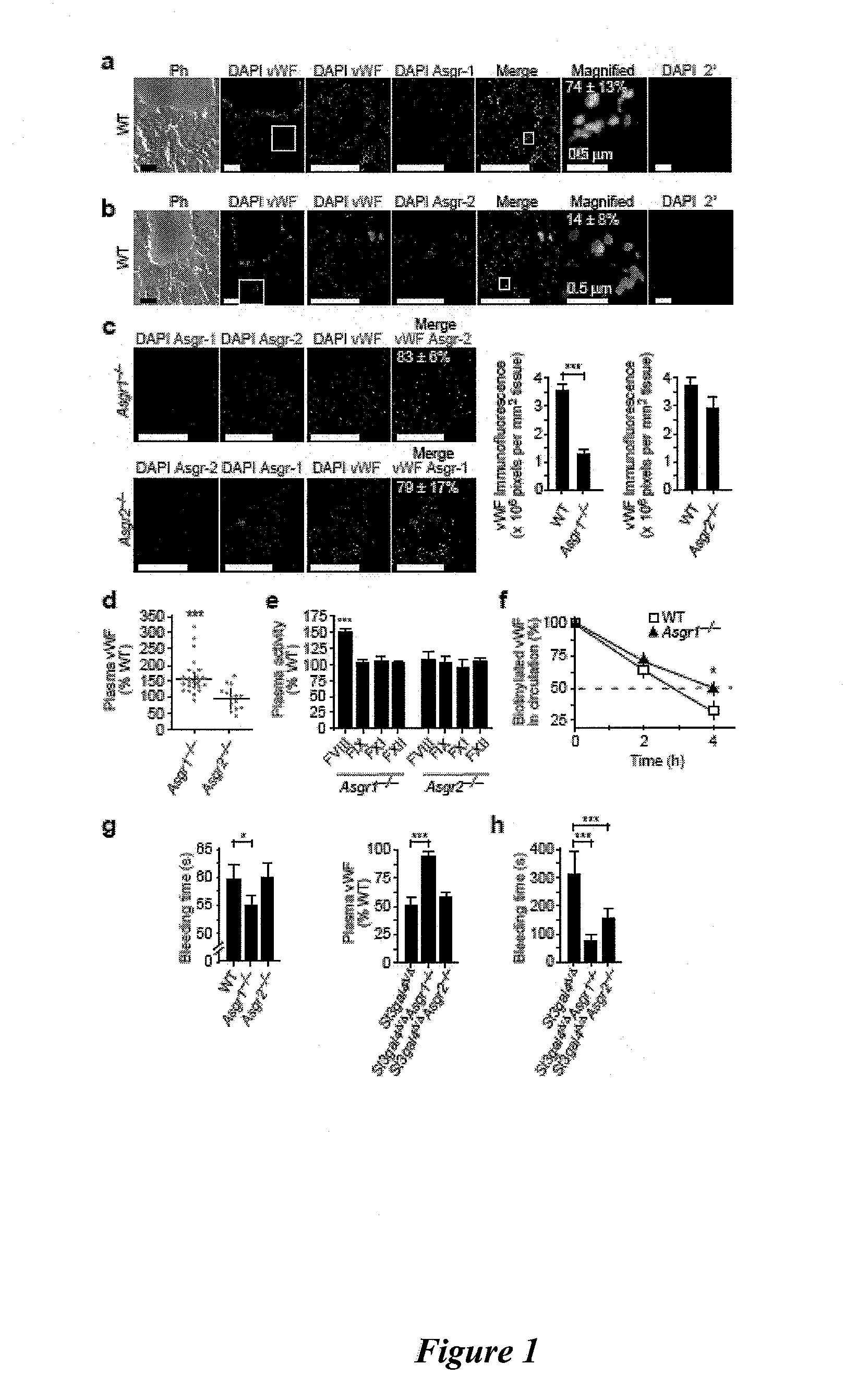 Methods of treating coagulopathy