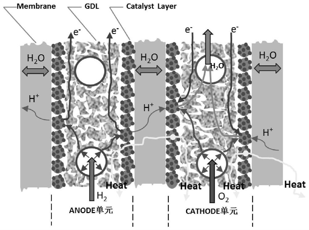 proton exchange membrane fuel cell