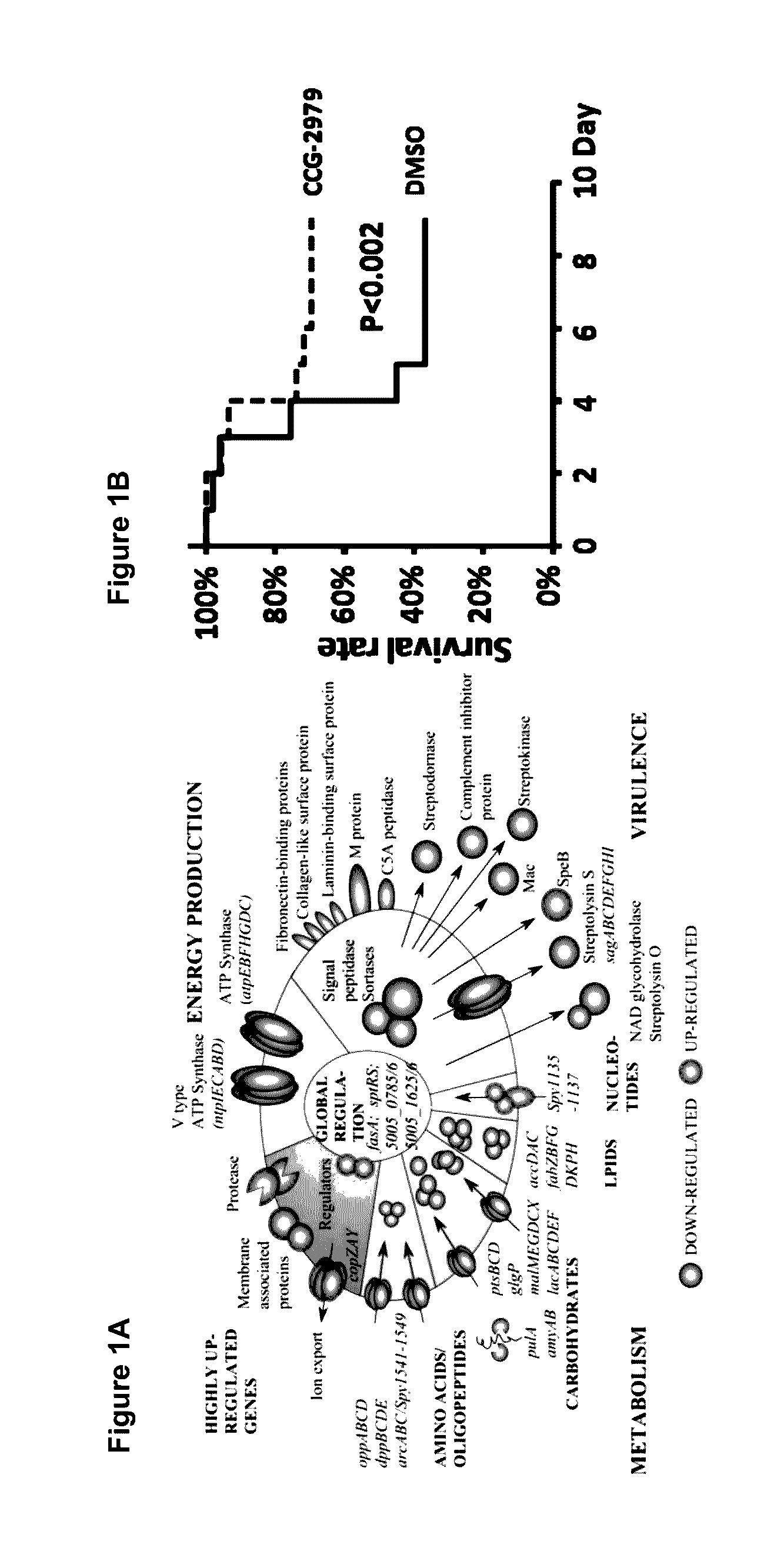 Methods and compositions for treating bacterial infection