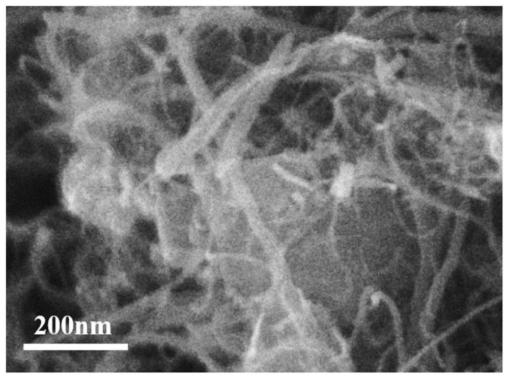 Flexible positive electrode material of lithium-sulfur battery and preparation method of flexible positive electrode material