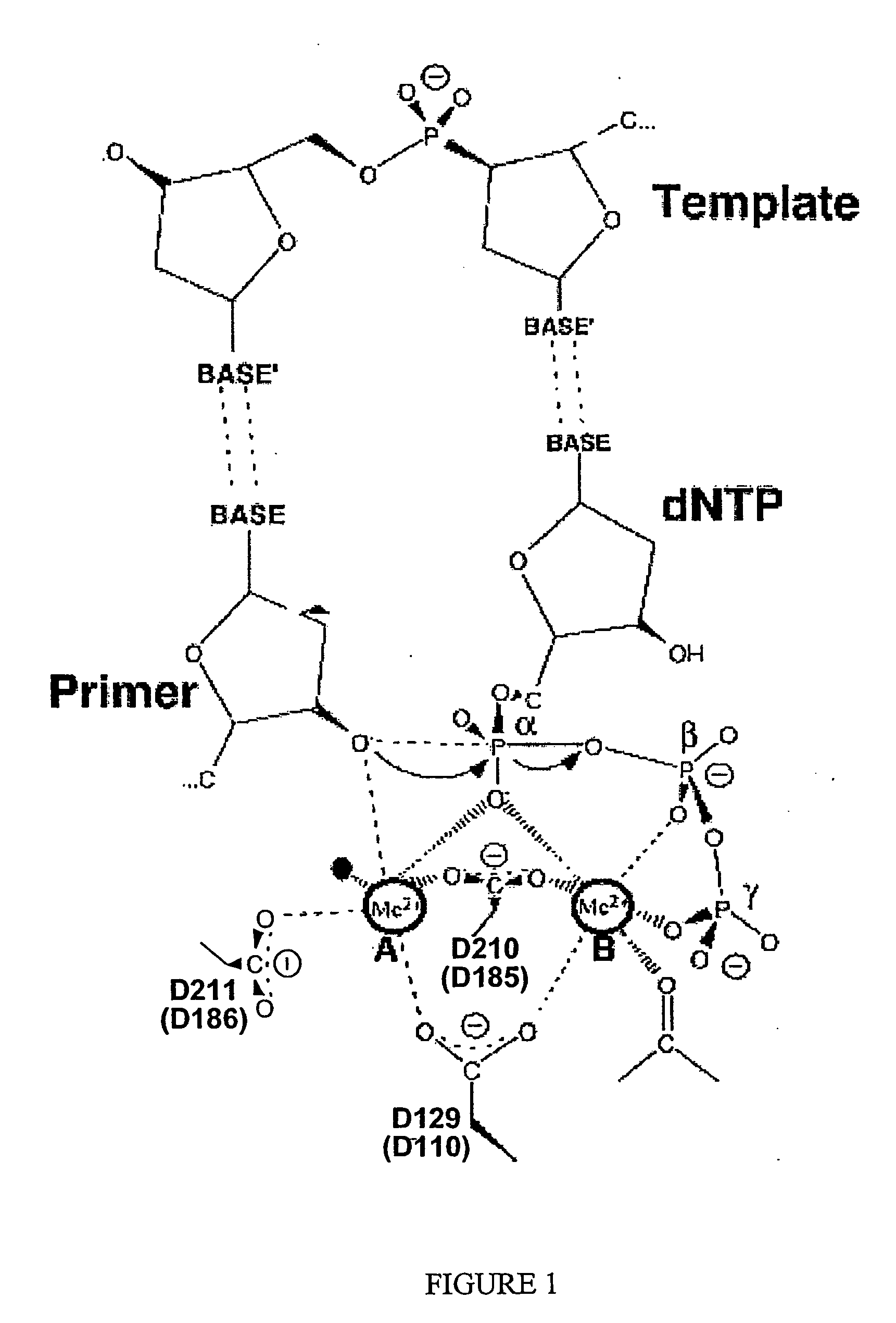 Manganese ion regulation of reverse transcriptase activity and methods of modulating same