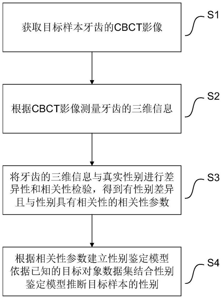 Tooth-based gender inference method, system and device and storage medium