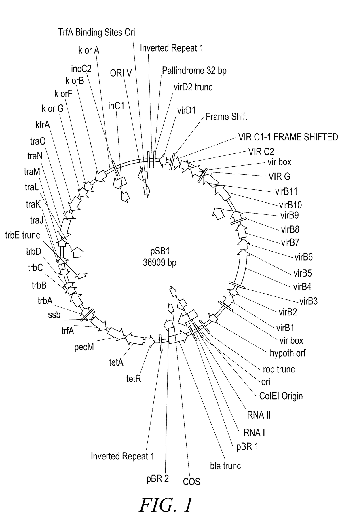 Methods and compositions of improved plant transformation