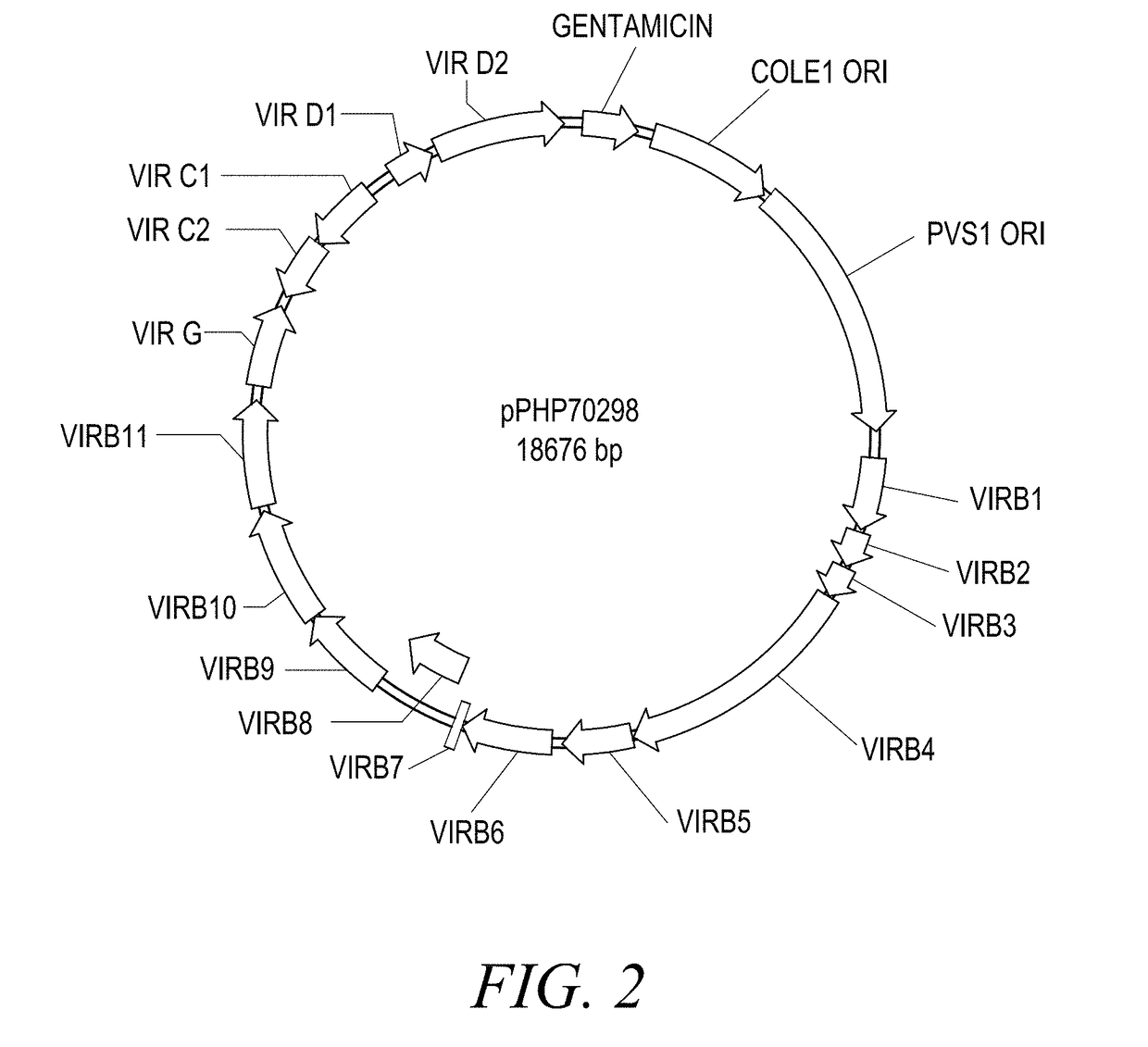 Methods and compositions of improved plant transformation