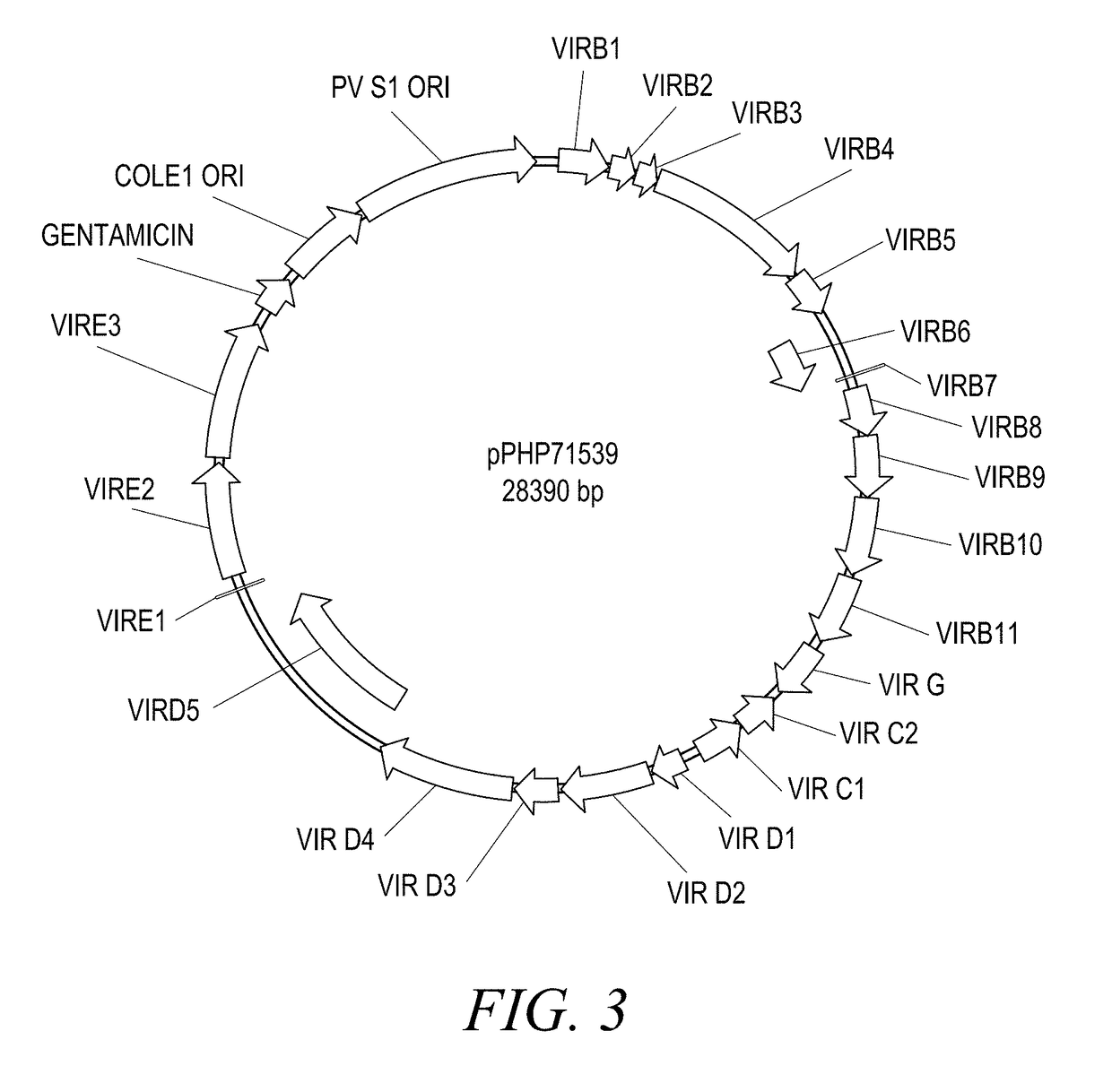 Methods and compositions of improved plant transformation