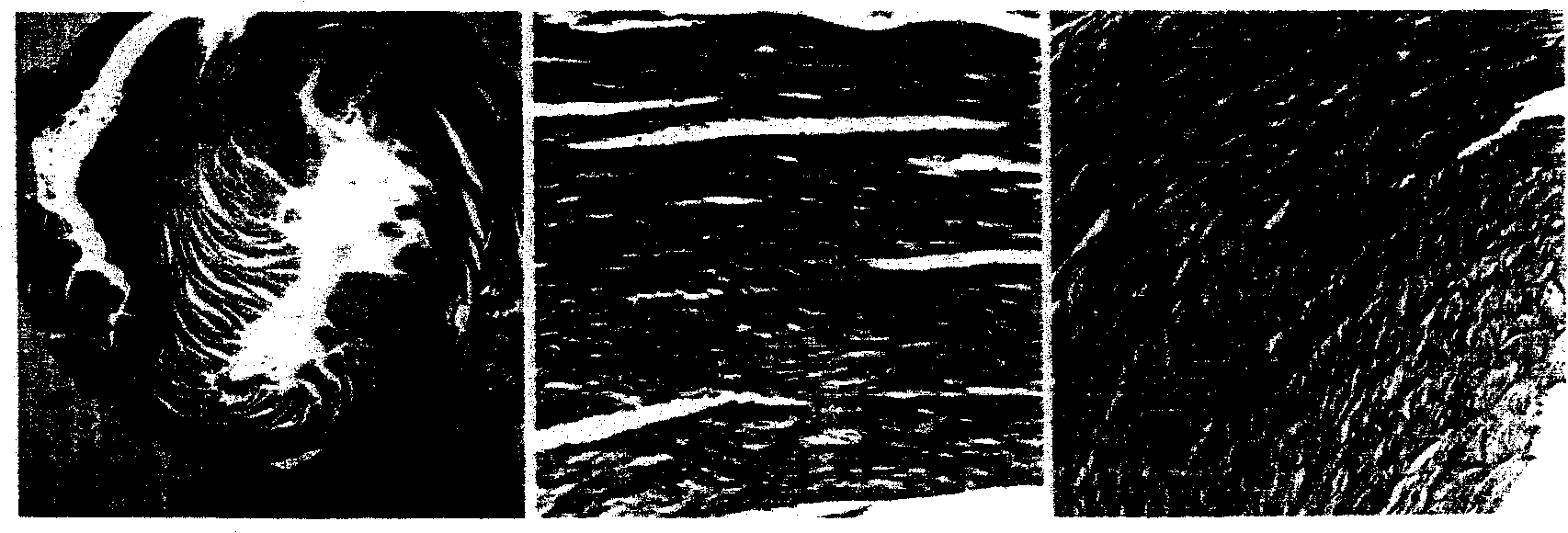 Method for preparing AS-605240 and application thereof on preparing medicines for treating inflammatory diseases