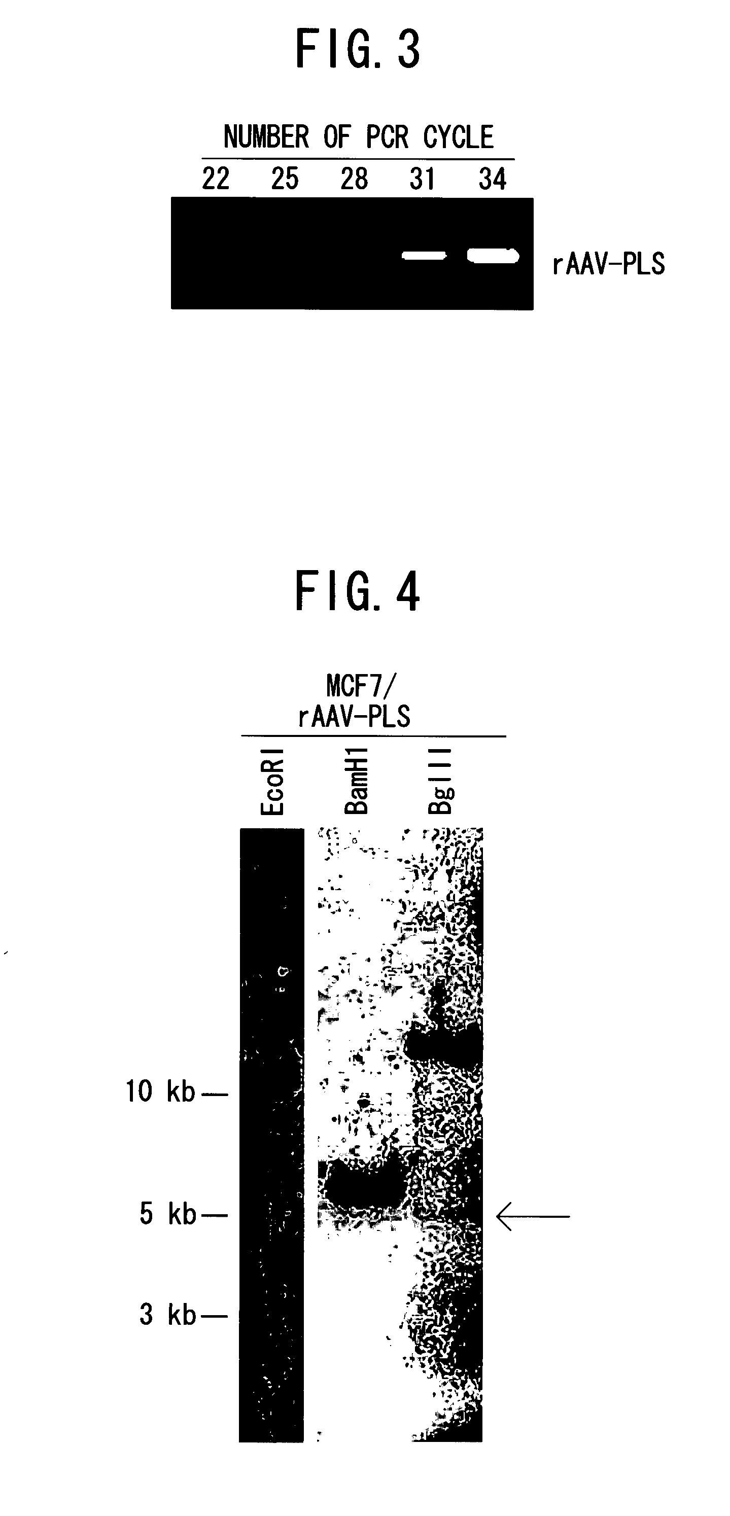 Integration-type low-dose radiation-inducible vector