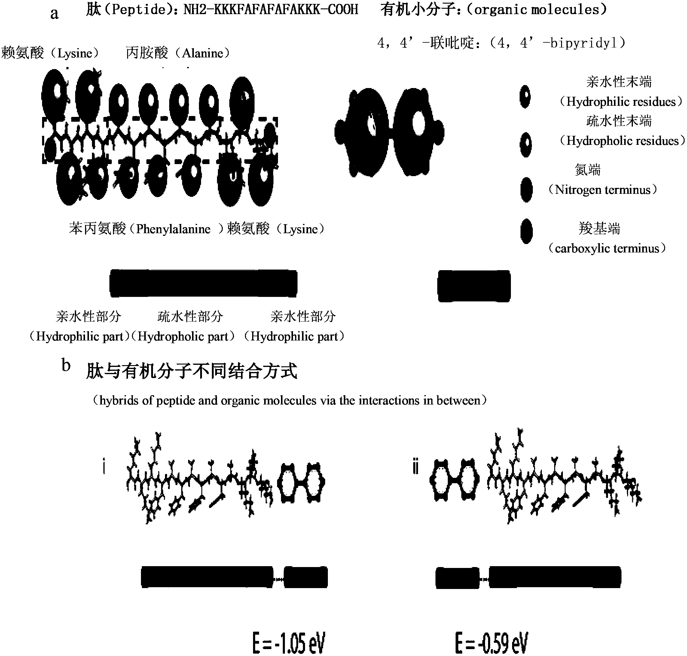 Method for forming two-dimensional polypeptide nanosheets by regulating assembly of polypeptides with organic micromolecules