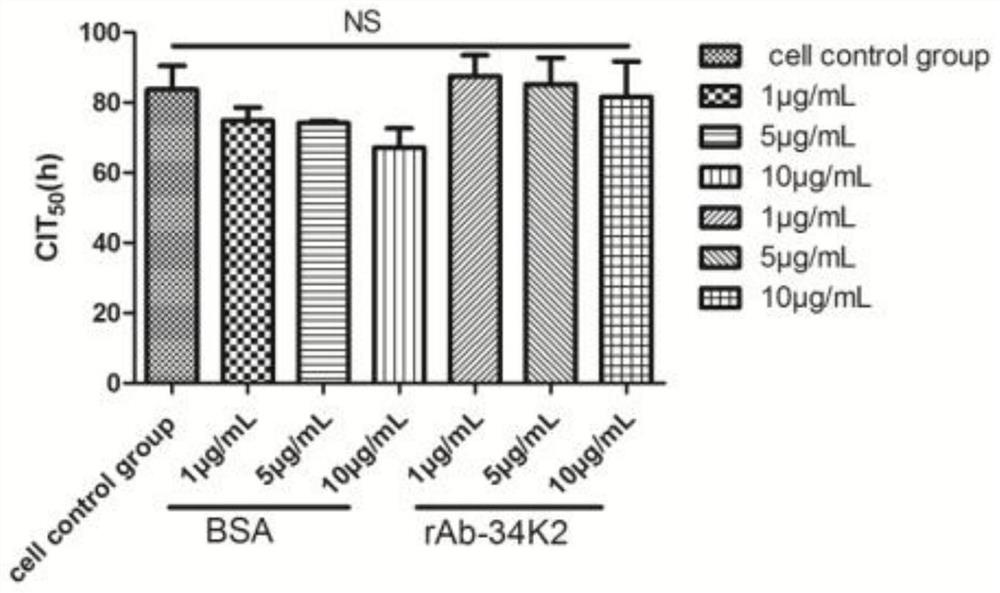 Application of Aedes albopictus salivary 34k2 recombinant protein in hacat cells infected by denv2