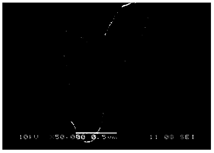 Application of Pseudomonas aeruginosa strain fermentation broth extract and validamycin compound