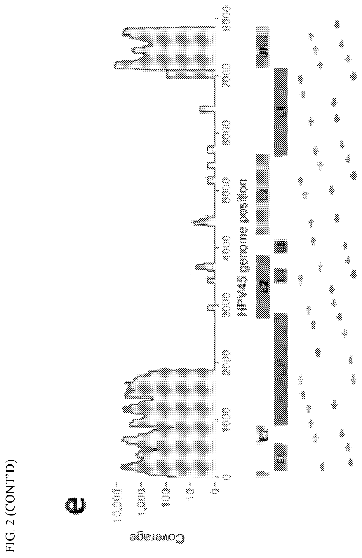 Tagmentation-associated multiplex PCR enrichment sequencing