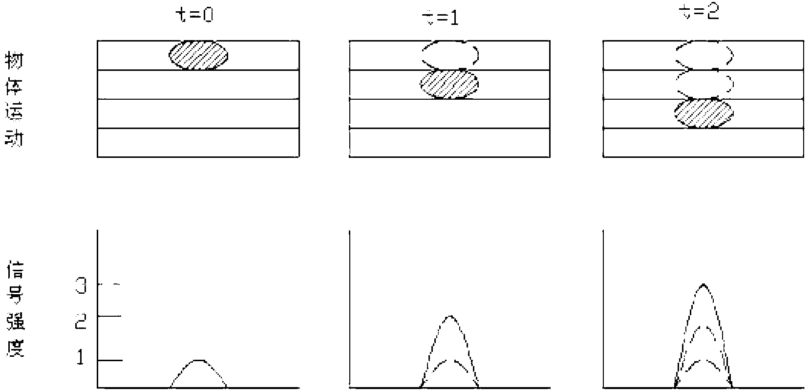 Aflatoxin detecting and sorting apparatus