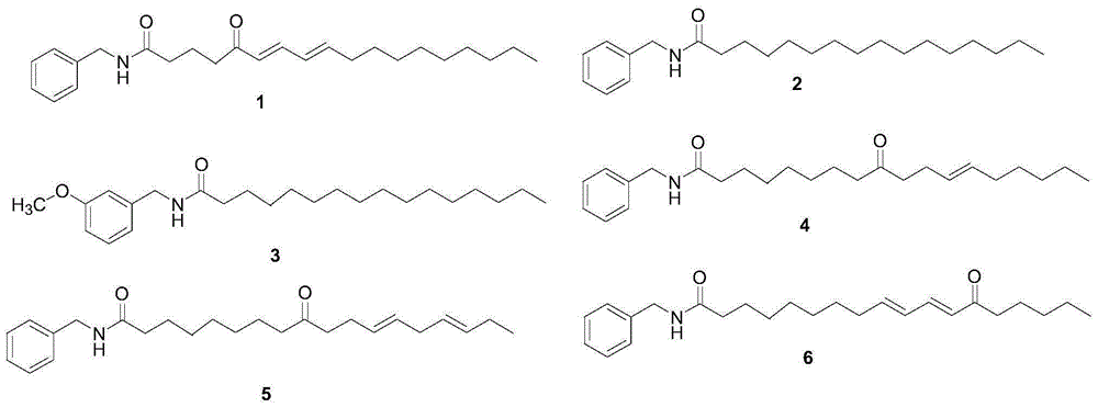 Method for extracting and purifying monomeric macamide compounds from maca