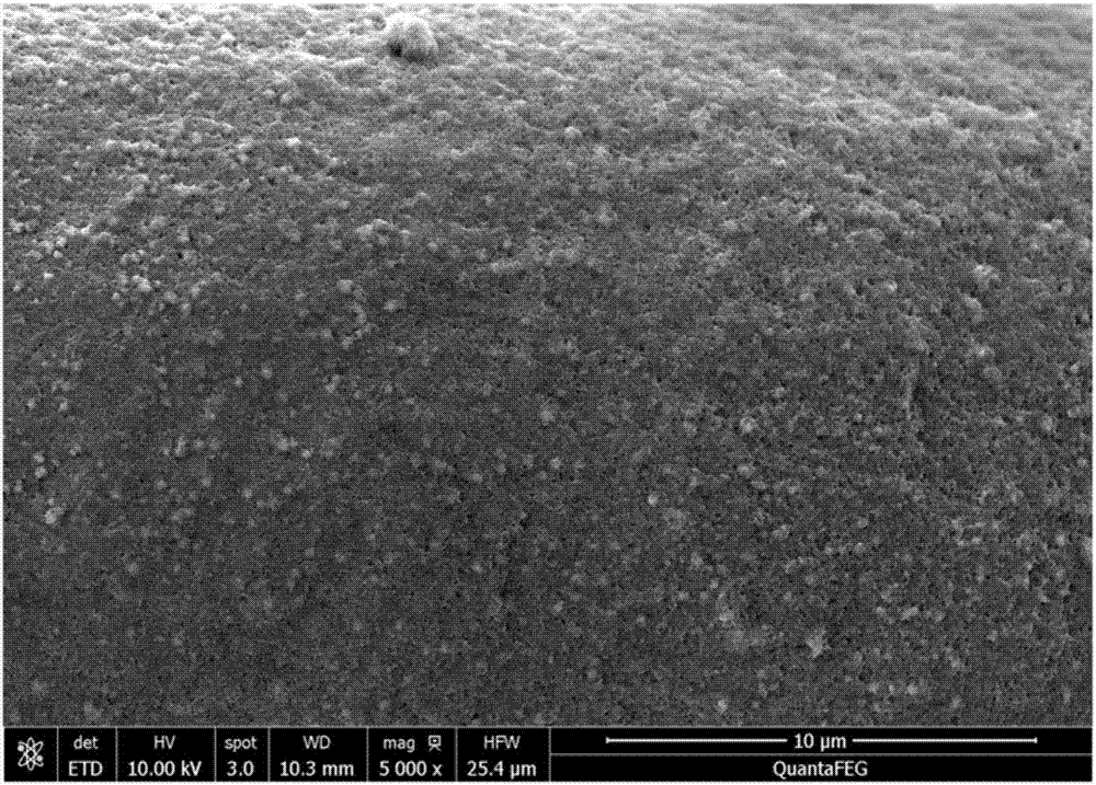 Underwater oil-adsorption-resistant oil-adhesion-resistant material, membrane, and coating, and preparation method and application thereof