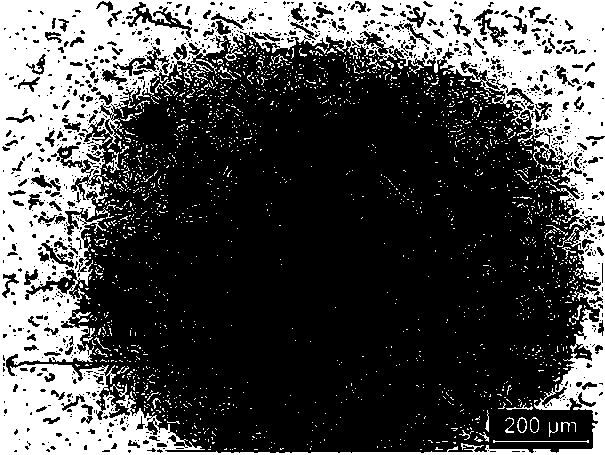 A kind of degradable nano-short fiber material for tissue repair and its preparation method and application