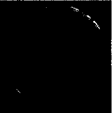 High salt-resistant phosphate solubilizing bacterial strain and application thereof