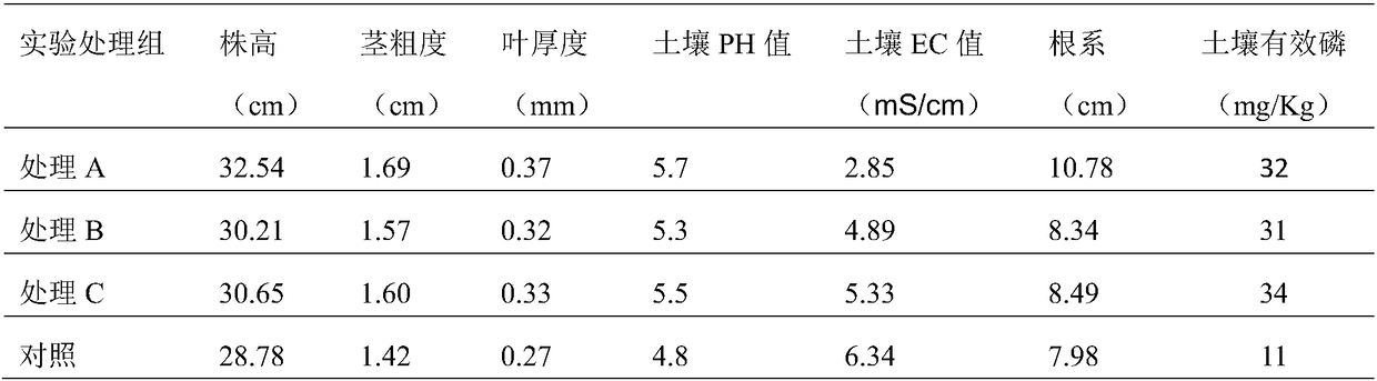 High salt-resistant phosphate solubilizing bacterial strain and application thereof