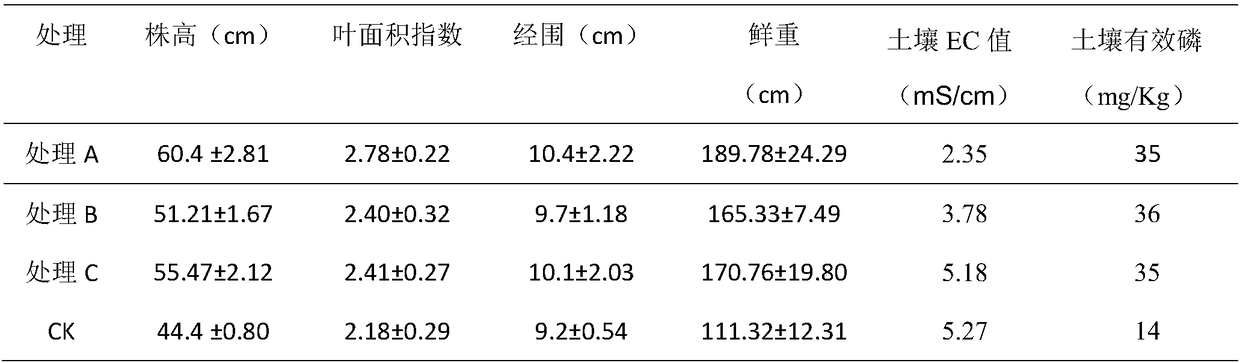 High salt-resistant phosphate solubilizing bacterial strain and application thereof