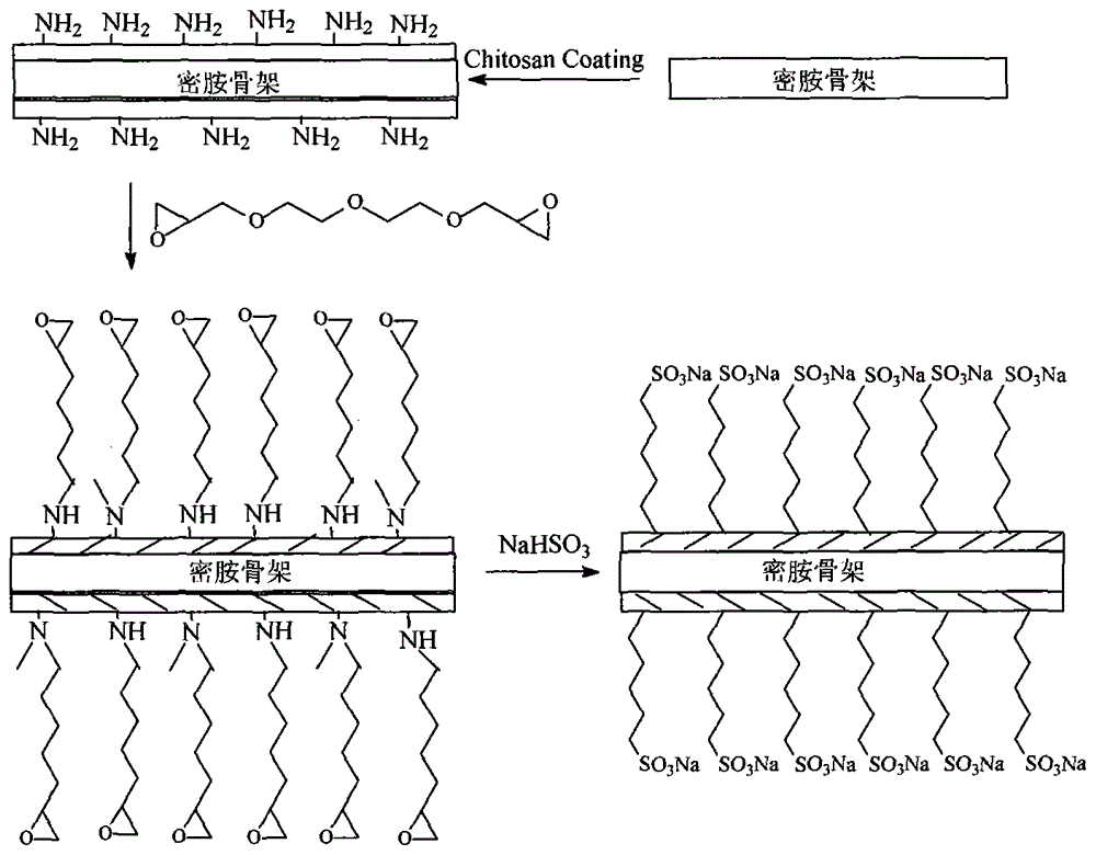 Anionic framework polymer for extracting muramidase, preparation method of anionic framework polymer