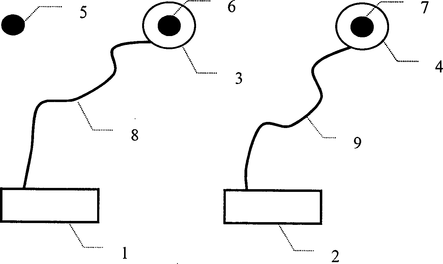 Whole cycle fuzziness initializing method in short-base line DGPS location