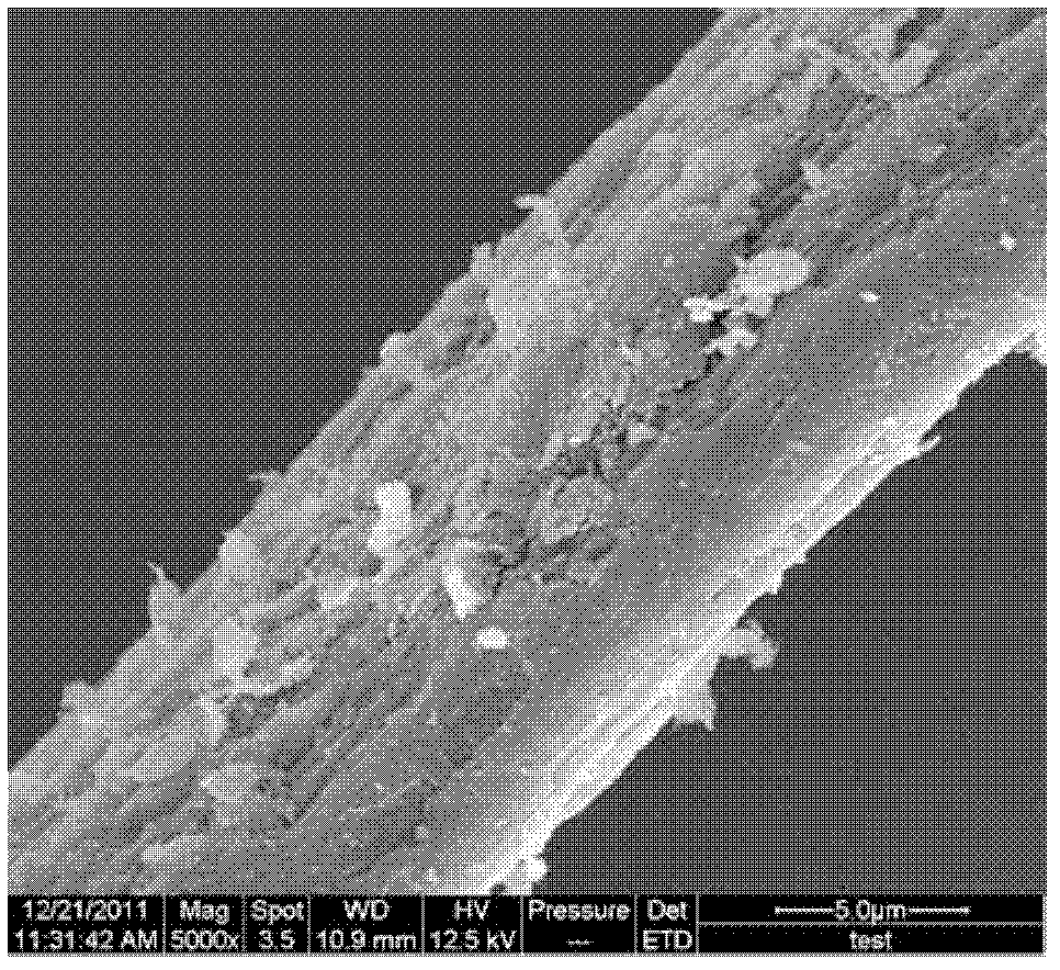 Anionic dye adsorbent as well as preparation method and application thereof