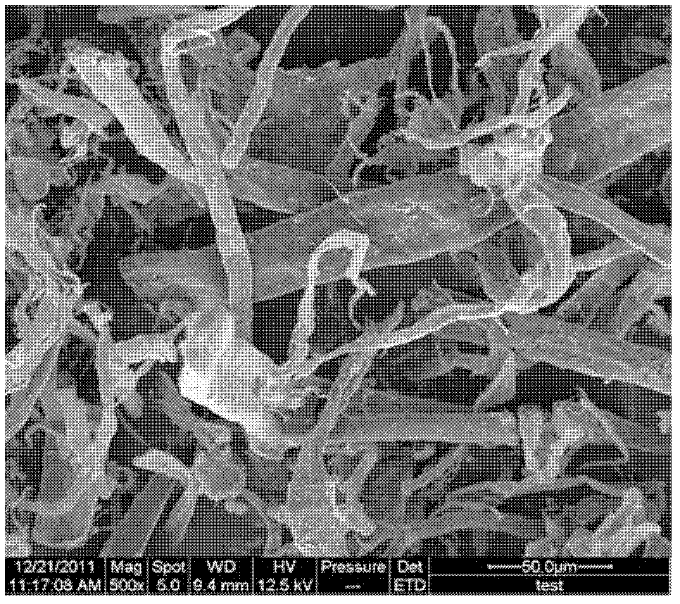 Anionic dye adsorbent as well as preparation method and application thereof