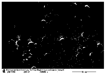 Method for synthesizing gold nanoparticles through microemulsion without surfactant