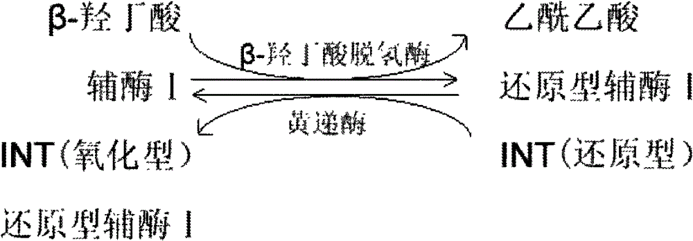 Liquid stable kit for measuring beta-hydroxybutyric acid by cyclic enzyme method