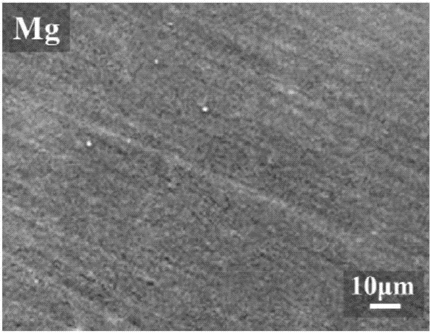 Method for establishing metal-organic framework composite coating on surface of magnesium metal