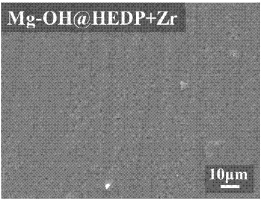 Method for establishing metal-organic framework composite coating on surface of magnesium metal