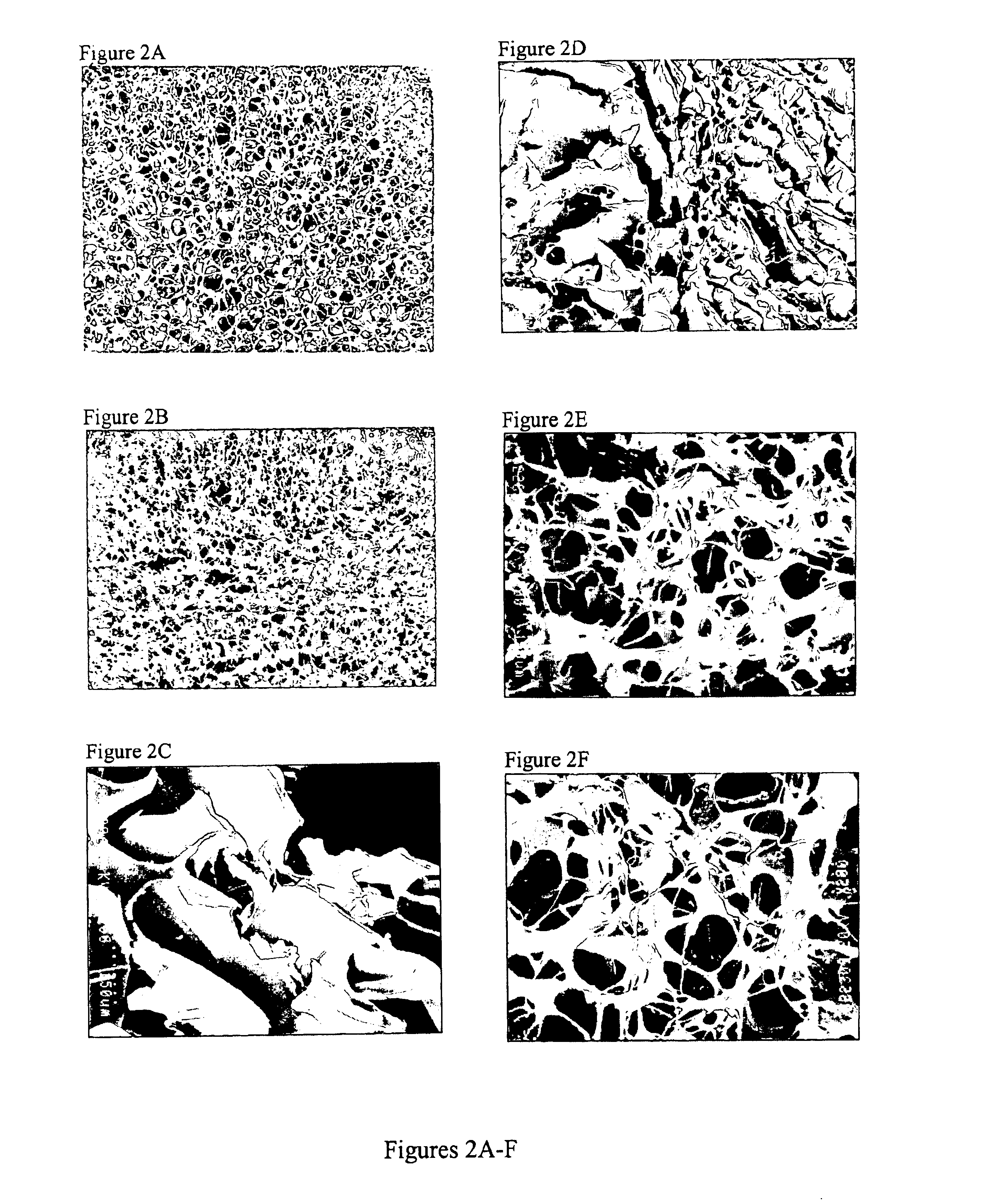 Chemically activated carboxypolysaccharides and methods for use to inhibit adhesion formation and promote hemostasis