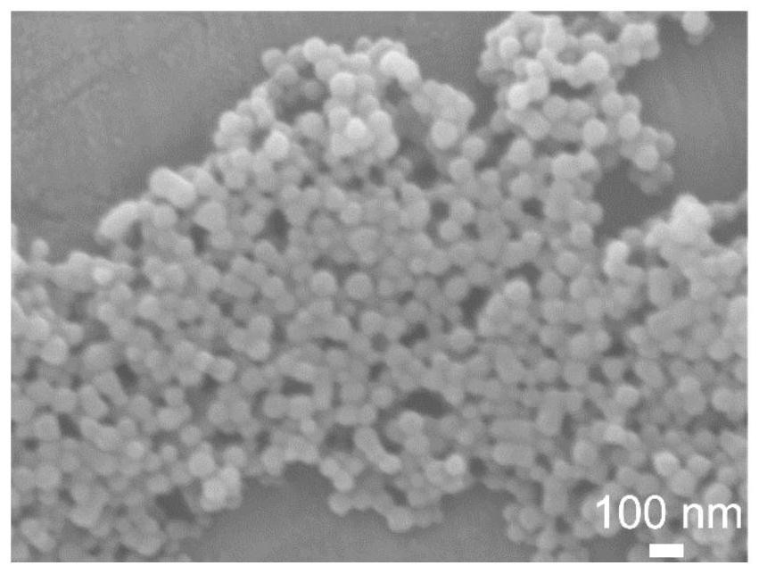 A kind of positive electrode material of lithium-sulfur battery and preparation method thereof