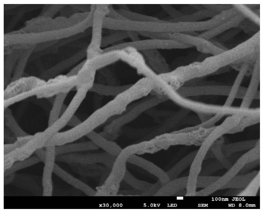 A kind of positive electrode material of lithium-sulfur battery and preparation method thereof