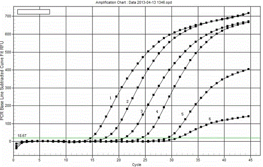 Fluorescent PCR detection reagent for identifying bovine gene source in heparin, preparation method and application