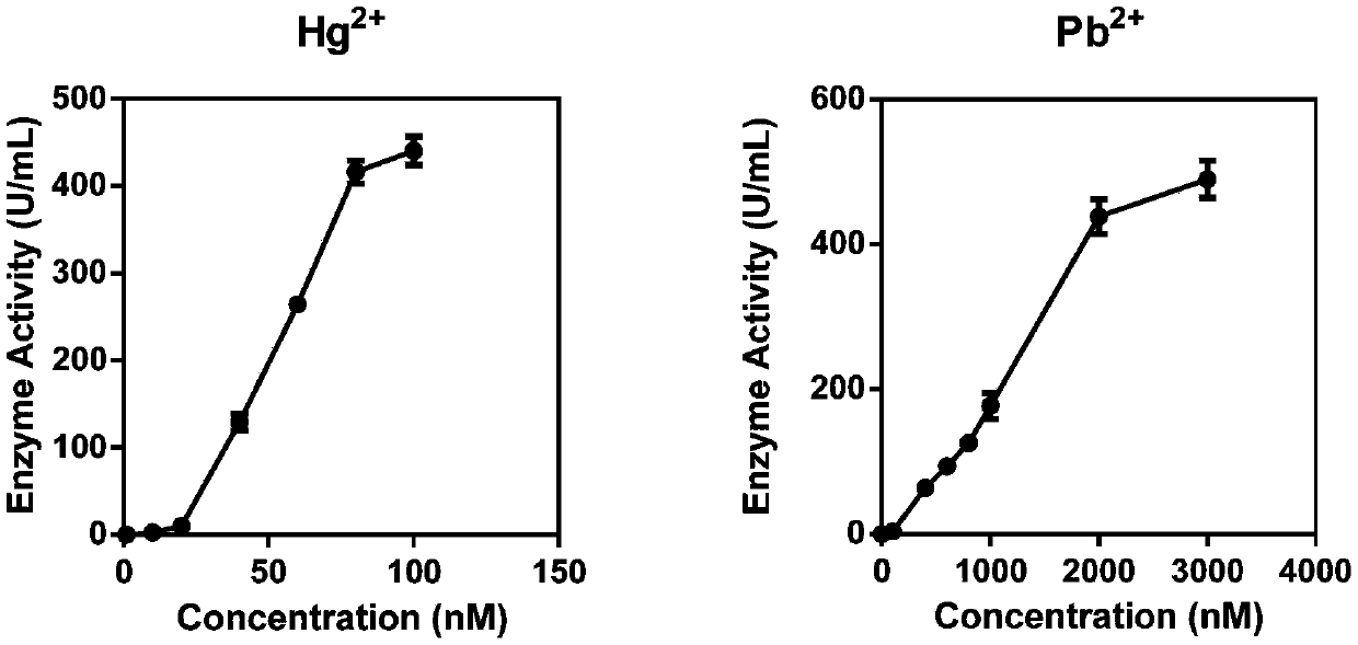 Whole-cell biosensor for detecting heavy metal ions in water-soluble sample and construction and application thereof