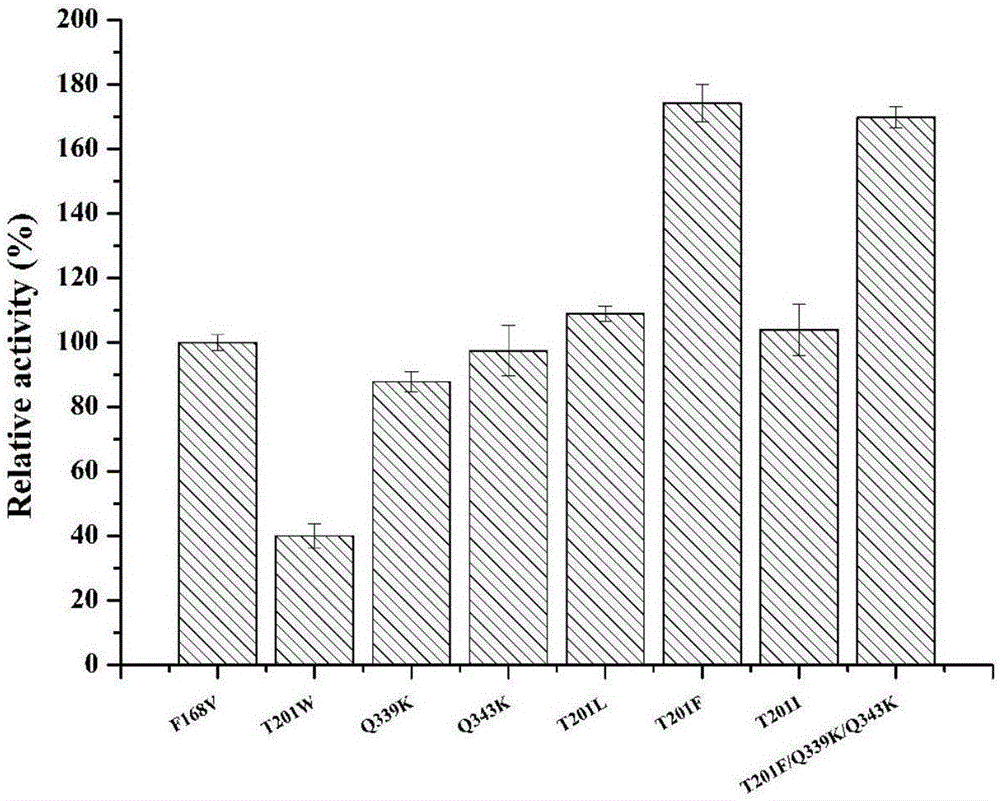 Nitrilase mutant and application thereof