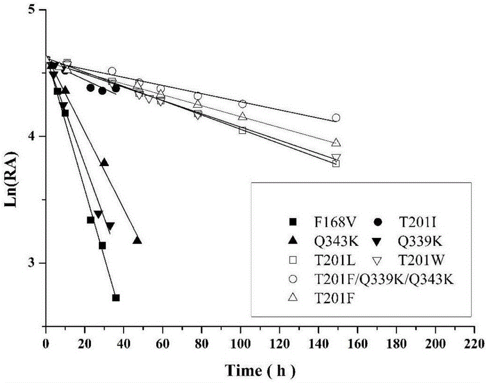 Nitrilase mutant and application thereof