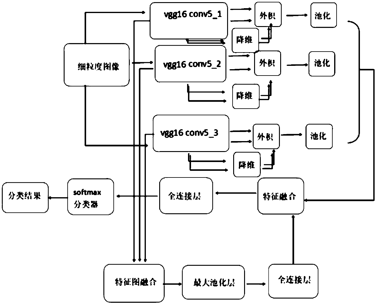 A bilinear feature fusion fine-grained concept model and a learning method