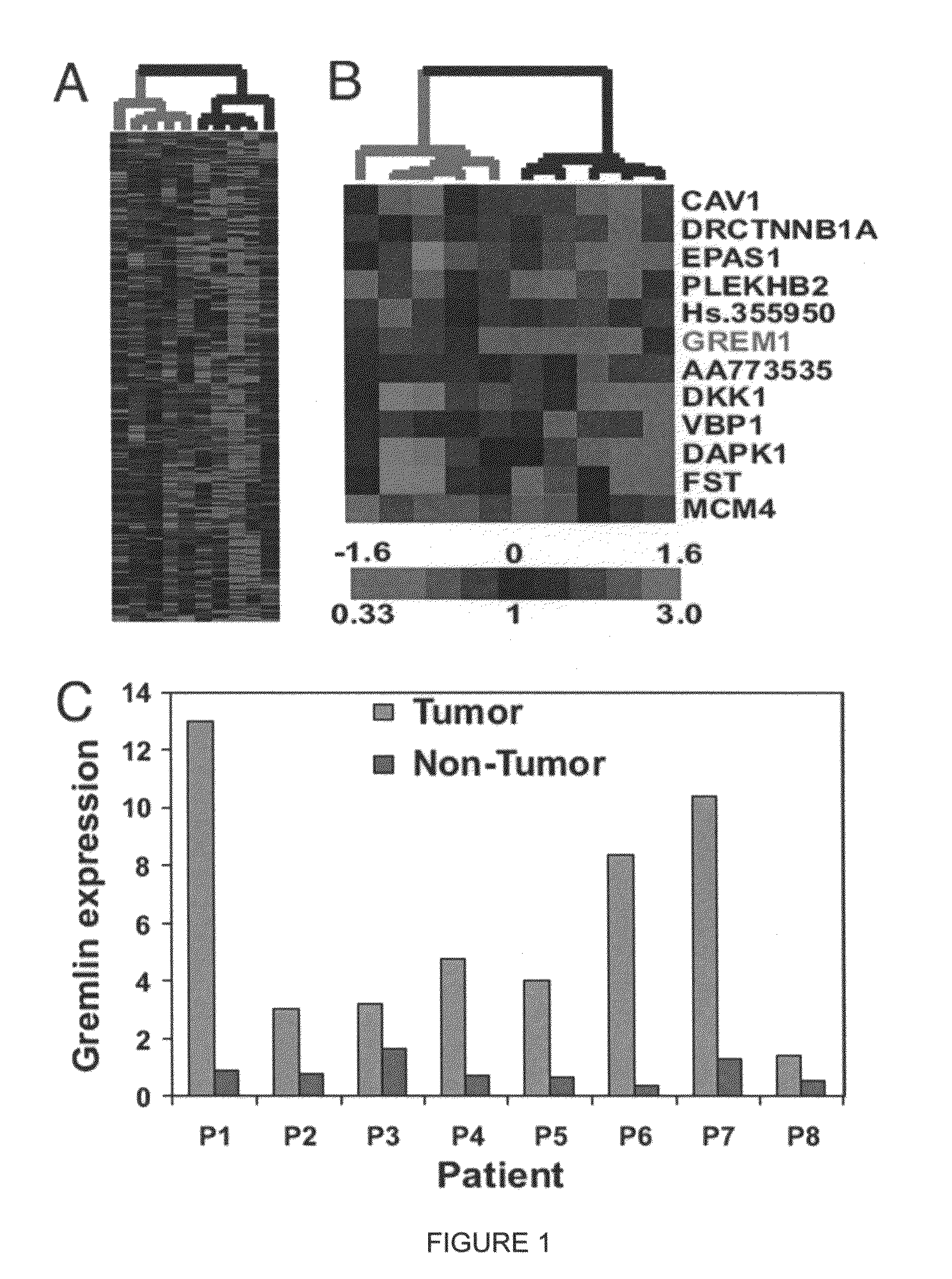 Bone morphogenetic protein antagonist and uses thereof