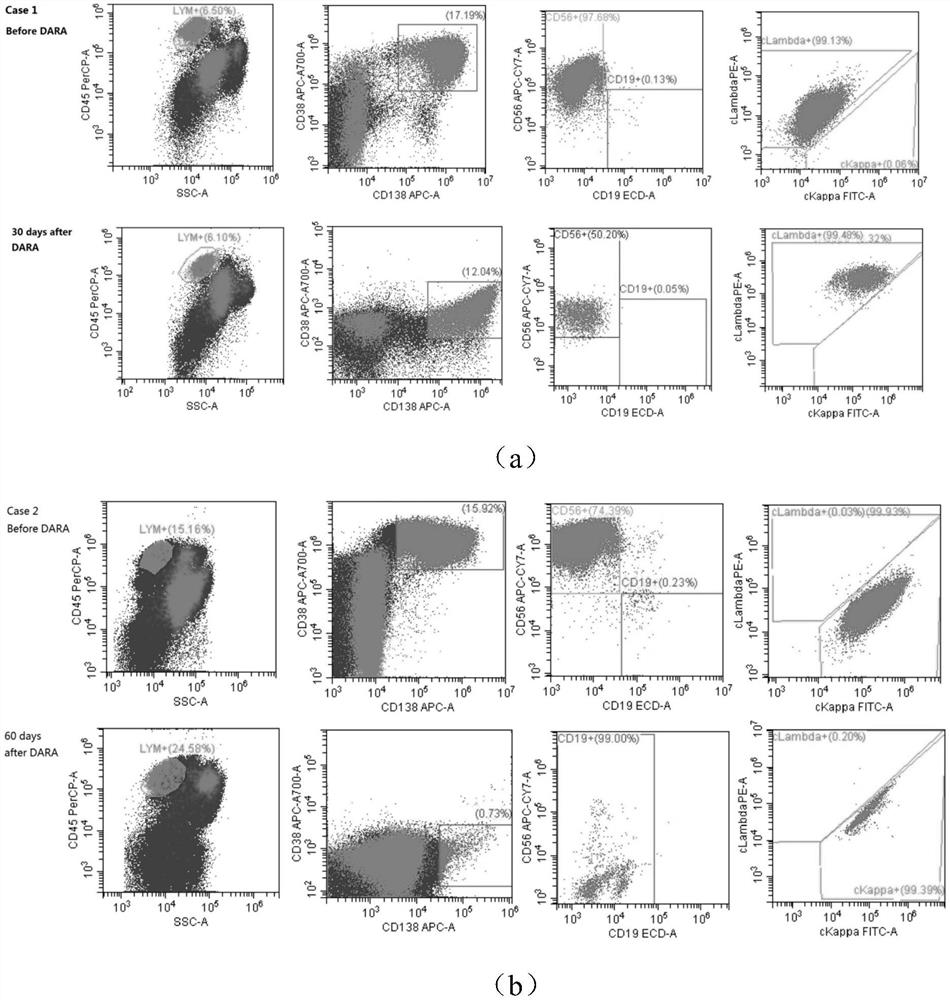 Antibody composition for detecting minimal residual lesions of multiple myeloma, kit and application