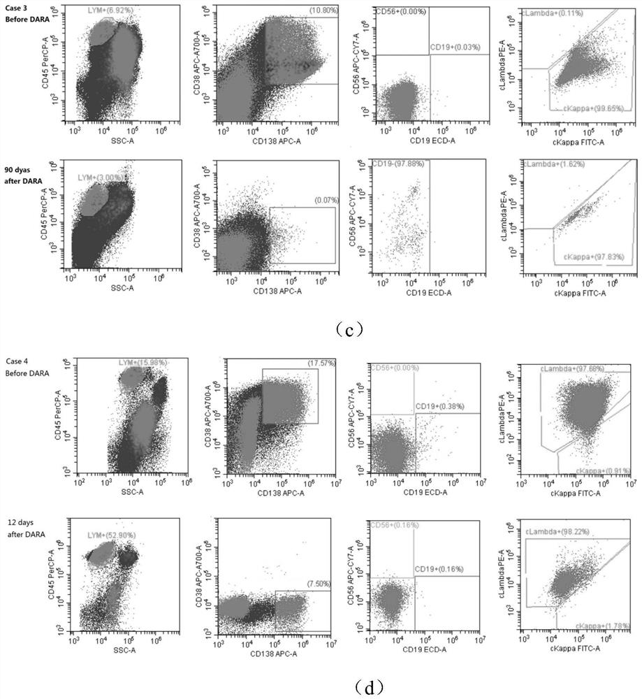 Antibody composition for detecting minimal residual lesions of multiple myeloma, kit and application