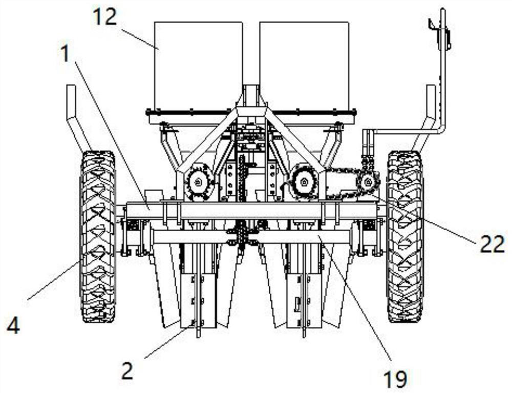 Transplanting and fertilizing machine for pineapples