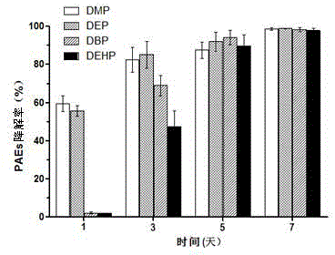 Rhodococcus sp. 2G used for simultaneous degradation of plurality of phthalic acid esters