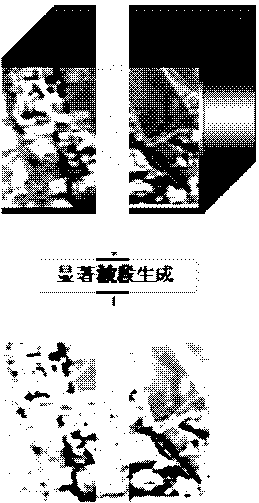 Multi-feature multi-level visible light and high-spectrum image high-precision registering method