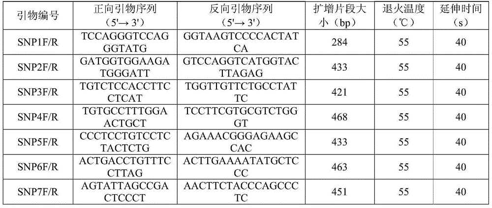 SNP (single-nucleotide polymorphism) markers and primer pairs for mouse inbred line identification, and application thereof