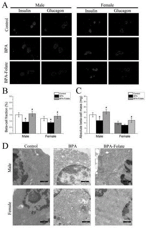 Application of pteroylglutamic acid in preventing and curing offspring diabetes caused by environmental endocrine disruptors (EED)