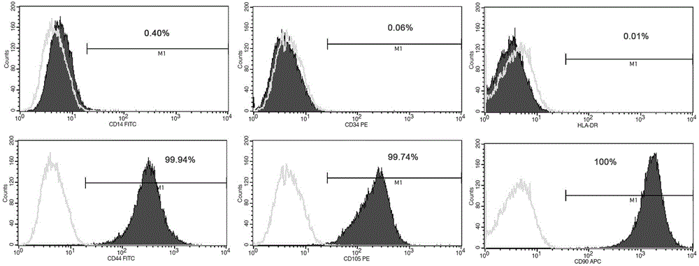 Culture medium for inducing human umbilical cord mesenchymal stem cells to differentiate into islet-like cells and induction method therefor