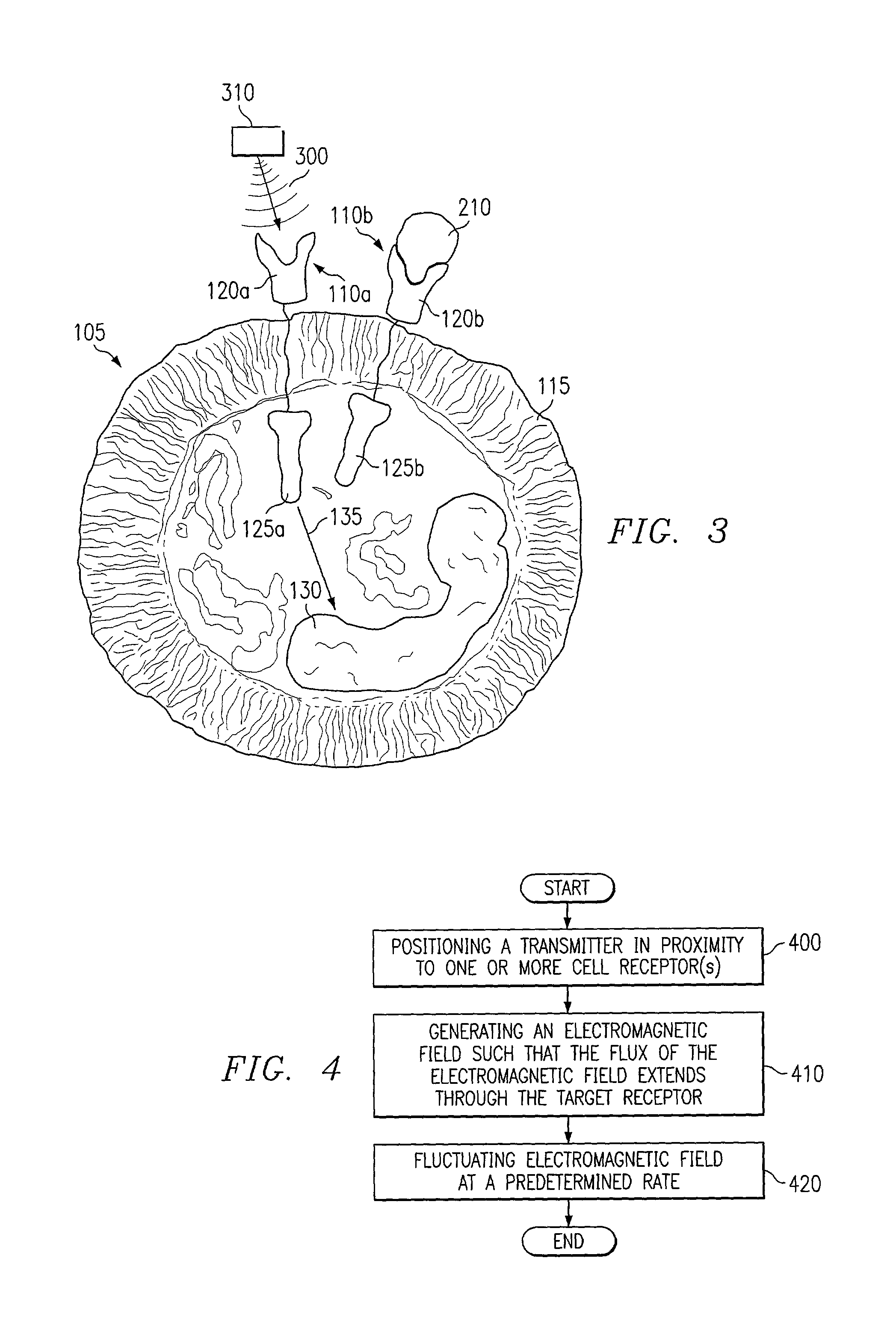 Methods of stimulating cell receptor activity using electromagnetic fields